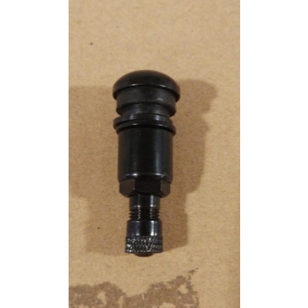 black-tire-valve