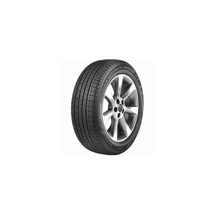 dunlop-tires-65225-r17